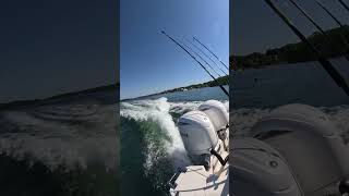 Driving the boat sailfish 276 dc [upl. by Atileda141]