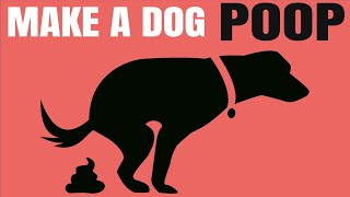 Sound To Make A Dog Poop Immediately [upl. by Ojimmas782]