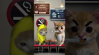 Banana Cat And NonSmoking Area🚭😾bananacat funny happycat maxwell animation catmemes smoking [upl. by Poulter]