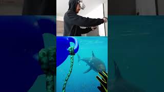 Swimming with Sharks in VR 🦈 subside vr sharkcage [upl. by Assylla697]