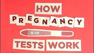 Pregnancy 101 How pregnancy tests work [upl. by Auqeenwahs290]