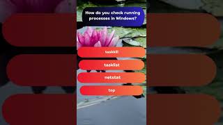 Checking Running Processes in Windows computerbasics [upl. by Nilat861]