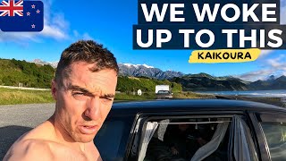 This Is What THEY DONT TELL YOU About Kaikōura Road Trip From Blenheim New Zealand 🇳🇿 [upl. by Sawtelle542]