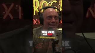 Theo Von and Joe Rogan Roasting Billionaires [upl. by Eirlav]