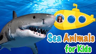 Sea Animals For Kids  Soso Goes On A Submarine to Explore Some Sea Animals [upl. by Hermie]