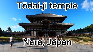 Great Buddha Hall  Tōdaiji temple Nara 2024 [upl. by Aneles]