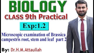 Microscopic examination of Brassica campestris root stem amp leaf 9th biology practical Exp12 part2 [upl. by Aveneg]