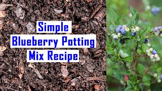 Easy Acidic Potting Soil Recipe for Growing Blueberries in Containers [upl. by Dyraj]