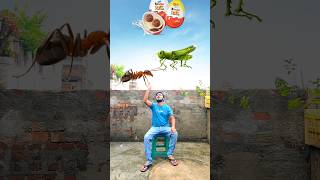 Flying ant grasshopper fish lizard bee vs kinder Joy amp diary milk  Funny vfx magic 😄 shorts [upl. by Gennie707]