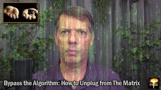 124 Bypass the Algorithm How to Unplug from The Matrix [upl. by Sharai697]