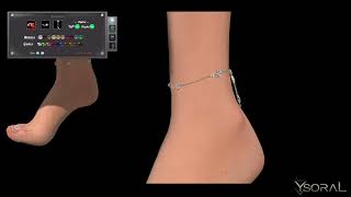 Ysoral  Anklets Ariel  MOVIE 4K Second Life [upl. by Utter]