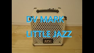 DV MARK LITTLE JAZZ 試奏レビュー。DV MARK JAZZ 12 との比較も。音量など Comparison SOUND DEMO Review [upl. by Kubiak]