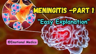 Meningitis  Part 1  CNS pathology  Medium Robbins emotionalmedico [upl. by Keli]