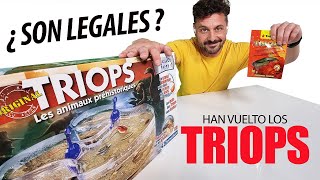 TRIOPS  Pasos a seguir para criar Triops cancriformis  ¿ es legal tener este animal prehistórico [upl. by Bohlen]