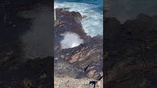 Halona Blowhole Lookout hawaii viral trending youtube lookout shorts shortvideo youtube [upl. by Cresida]