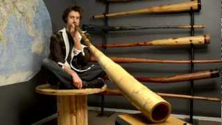 Finding the Multidrone Notes  Advanced Didgeridoo Lesson [upl. by Ritz]