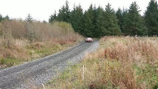 Cambrian Rally 2024  Clocaenog 2 SS5 Every crew [upl. by Nitsu]