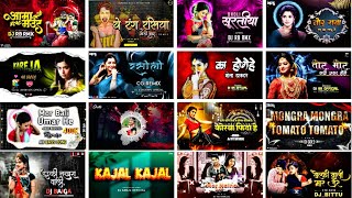 New Cg Dj Songs 2024  All New Cg Dj Remix Nonstop Songs  New Cg Dj Songs Remix 2024 [upl. by Terrie]