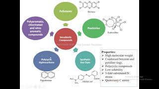 Biodegradation of Xenobiotics [upl. by Haroldson]