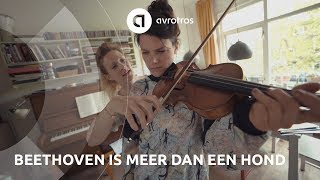 Beethoven is meer dan een hond Een spoedcursus klassiek [upl. by Ahsyak]