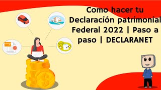 Como hacer tu Declaración patrimonial Federal 2023  Paso a paso  DECLARANET [upl. by Suiratnod]