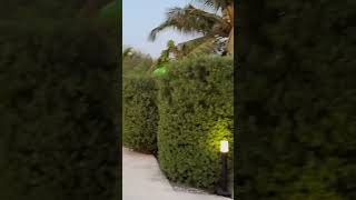 Maldives 🇲🇻 outfit travel travelvideo photoshoot maldives2024 beach maldivesisland [upl. by Leopold]