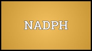 NADPH Meaning [upl. by Etteniuqna485]