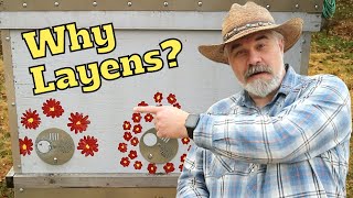 Why I Prefer the Layens Beehive and you might too [upl. by Arrej]