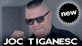 Nicolae Guta  Las sa dau ca ma simt bine 🍾 🥃  JOC TIGANESC  Live N o U 2023 🇹🇩 [upl. by Hagan]