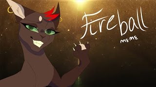 Fireball MEME [upl. by Connolly]