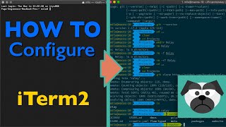 Configure Terminal with iTerm2 Oh My Zsh Powerlevel9k theme amp How to use [upl. by Adnahsam]