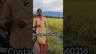 Alagana place  alagana location Inga vanthu parungacontact9677660318shortsviral [upl. by Hsina]