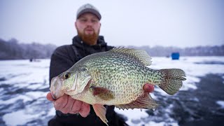 Chasing GIANT Early Ice Crappie with MinnDakOutdoors FEEDING FRENZY [upl. by Rickert]