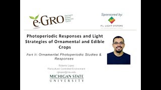 Ornamental Photoperiodic Strategies [upl. by Aleron145]