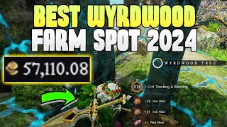 BEST New World Gold Farm Wyrdwood Spot Money Making 2024 Gold Farming 2024 for Beginners Iron Hide [upl. by Adnirem396]