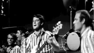 Surfin USA Live on the TAMI Show 1964 [upl. by Yema]