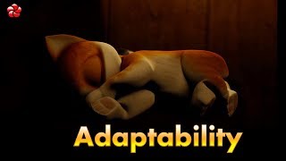 ADAPTABILITY ♥ New Kathu Kathu3 story for children ★most popular malayalam cartoon video ★HD [upl. by Wendolyn190]