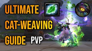 Resto Druid CatWeaving Guide PvP [upl. by Sergeant]