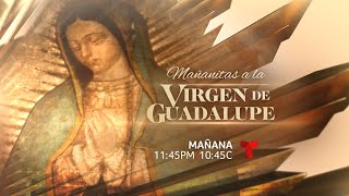 Mañanitas a la Virgen de Guadalupe ¡En vivo desde México Miércoles 11 de diciembre 1145PM1045C [upl. by Haelak]