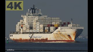 SAFMARINE BENGUELA  Shipspotting Germany 🇩🇪 IMO 9355367  River Elbe near Otterndorf  4K VIDEO [upl. by Klinger643]