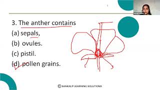 Bangalore Zilla Panchayat  Sankalp Science Class  How do Organisms Reproduce  English Medium  S1 [upl. by Ulrika701]