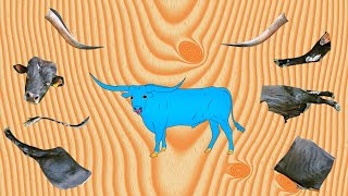 CUTE ANIMALS Texas Longhorn Bull Puzzle 귀여운 동물 텍사스 롱혼 불 퍼즐 [upl. by Sobel204]