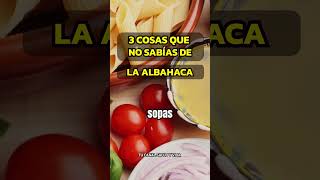 3 RAZONES PARA USAR ALBAHACA FRESCA EN TUS COMIDAS cocina alimentossaludables albahaca [upl. by Netsriik]