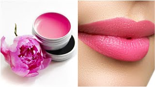 How to Make Natural Lipbalm at Home  Beetroot coconut oil rose petal lipbalm littleglow [upl. by Arhat]