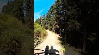 In the flow mtb gopromax flowline schladming [upl. by Yboj674]