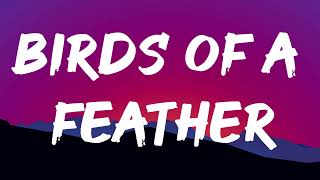 Billie Eilish  BIRDS OF A FEATHER Lyrics [upl. by Tocs]