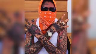 Vybz Kartel  Tribute FreeDom Song  Best Vybz Kartel Free World Boss Song by Marley Negroe [upl. by Ainak]