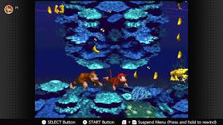 Donkey Kong Country Croctopus Chase [upl. by Frans]