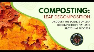 The Science of Leaf Decomposition [upl. by Venator289]