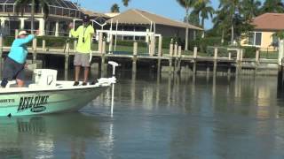 Reel Time Florida Sportsman Marco Island Snook amp Tarpon [upl. by Tawsha582]